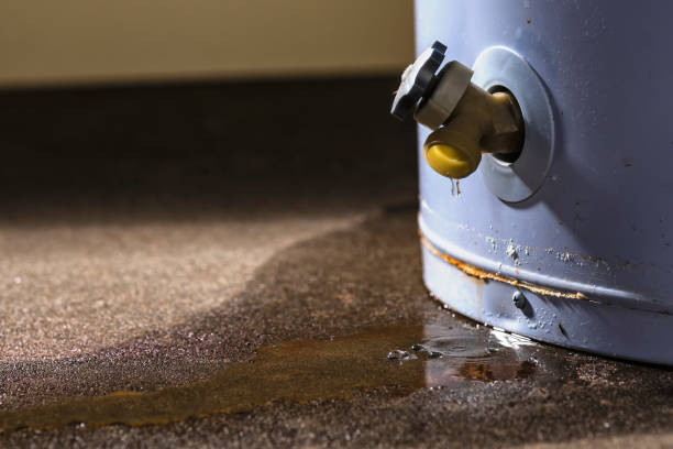 Best Residential water damage restoration  in Woodville, CA