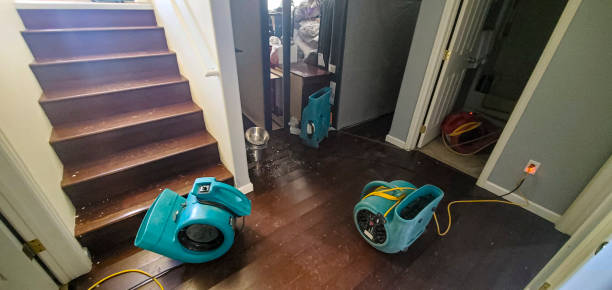 Water damage restoration insurance claims in Woodville, CA