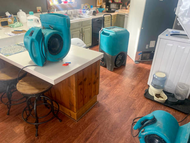 Best Professional water damage repair  in Woodville, CA