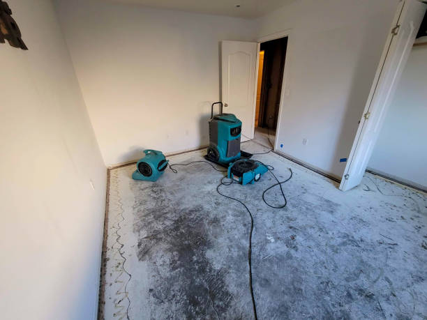 Best Emergency water damage restoration  in Woodville, CA