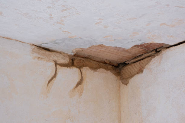 Best Water damage restoration specialists  in Woodville, CA
