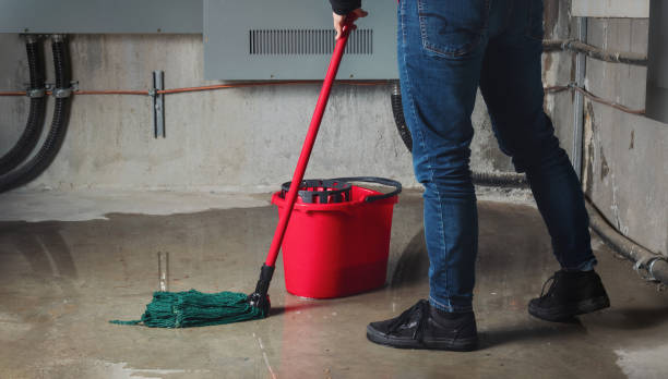 Best Water damage contractors near me  in Woodville, CA