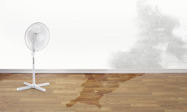 Best Ceiling water damage repair  in Woodville, CA