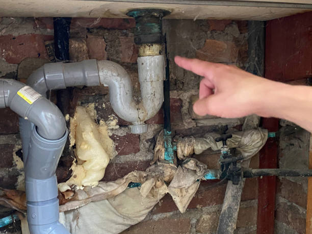 Best Water damage contractors near me  in Woodville, CA