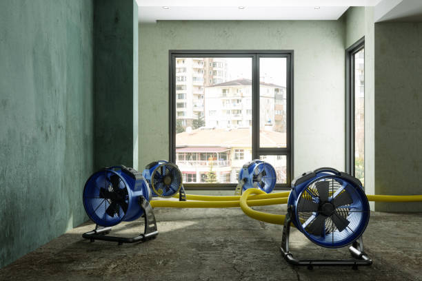 Best Carpet water damage restoration  in Woodville, CA